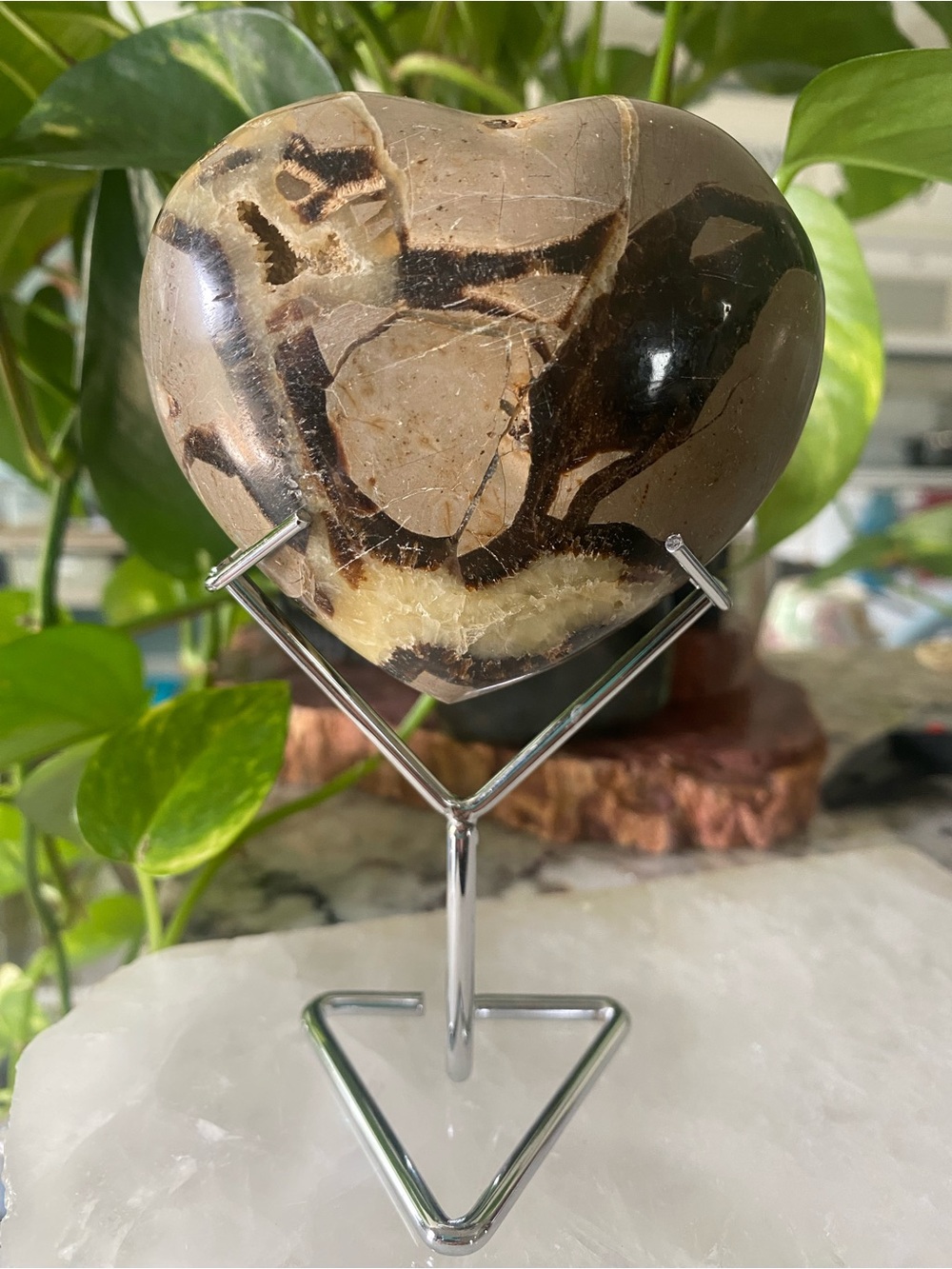 💛🖤💜 UV-REACTIVE SEPTARIAN HEART 💜🖤💛
